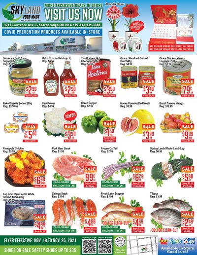 Skyland Food Mart Flyer November 19 to 25