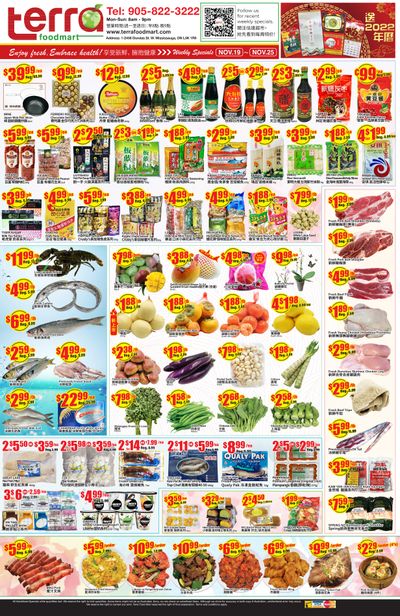 Terra Foodmart Flyer November 19 to 25