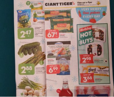 Giant Tiger Canada Flyer Deals November 24th – 30th