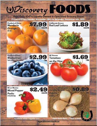 Discovery Foods Flyer November 28 to December 4