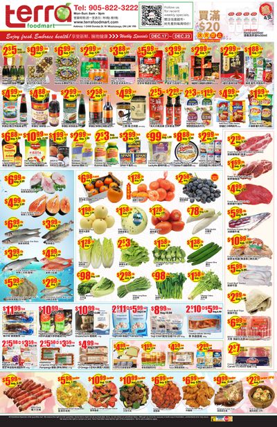 Terra Foodmart Flyer December 17 to 23