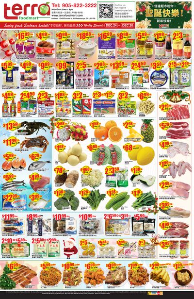 Terra Foodmart Flyer December 24 to 30