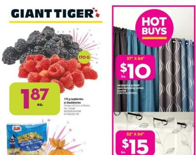 Giant Tiger Canada Flyer Deals January 5th – 11th