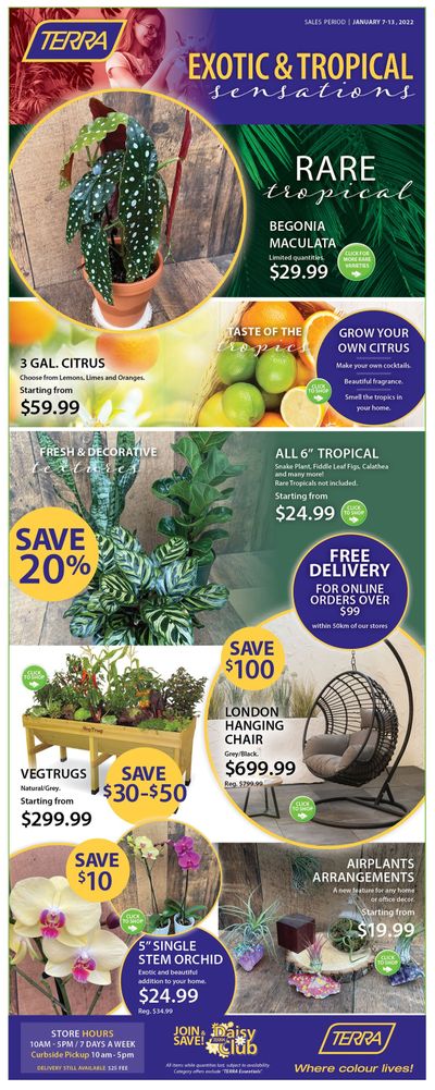 Terra Greenhouses Flyer January 7 to 13