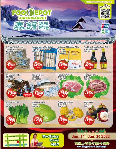 Food Depot Supermarket Flyer January 14 to 20