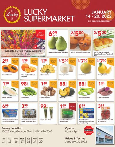 Lucky Supermarket (Surrey) Flyer January 14 to 20