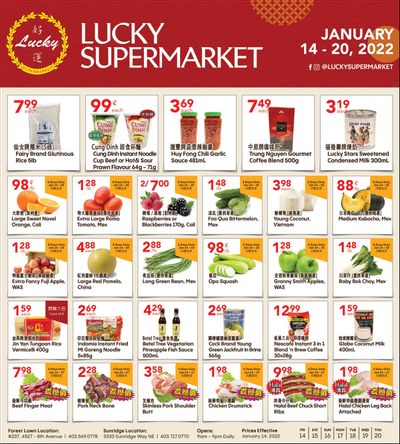 Lucky Supermarket (Calgary) Flyer January 14 to 20
