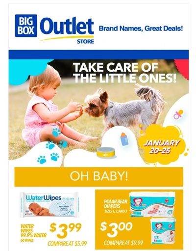 Big Box Outlet Store Baby and Pets Sale Flyer January 20 to 25