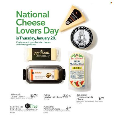 Publix (AL, FL, GA, NC, SC, TN) Weekly Ad Flyer January 20 to January 27