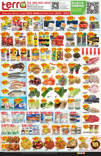 Terra Foodmart Flyer January 28 to February 3