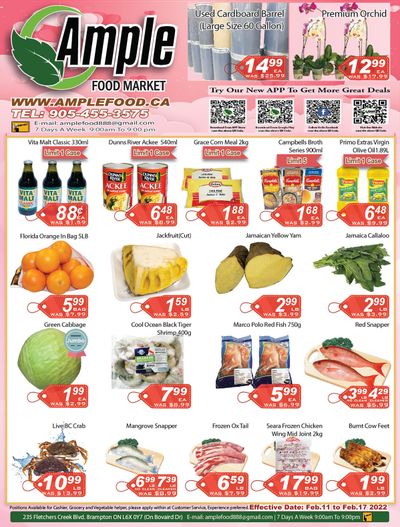 Ample Food Market (Brampton) Flyer February 11 to 17
