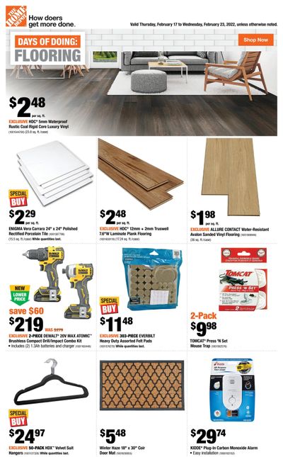 Home Depot (Atlantic) Flyer February 17 to 23
