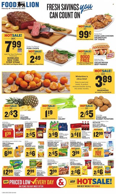 Food Lion (SC) Weekly Ad Flyer February 17 to February 24
