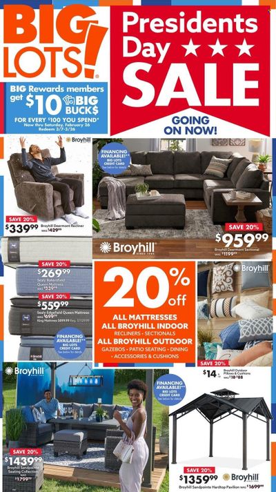 Big Lots Weekly Ad Flyer February 17 to February 24