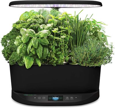 AeroGarden Bounty Indoor Hydroponic Herb Garden - Black On Sale for $ 370.41 ( Save $ 159.54 ) at Amazon Canada