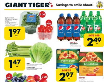 Giant Tiger Canada Flyer Deals February 23rd to March 1st