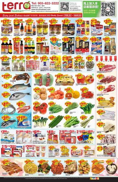 Terra Foodmart Flyer February 25 to March 3