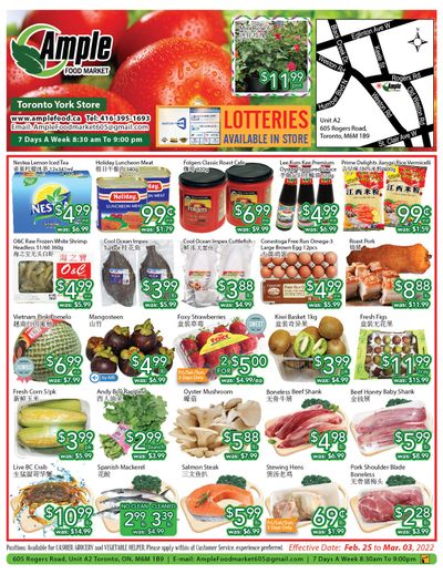 Ample Food Market (North York) Flyer February 25 to March 3