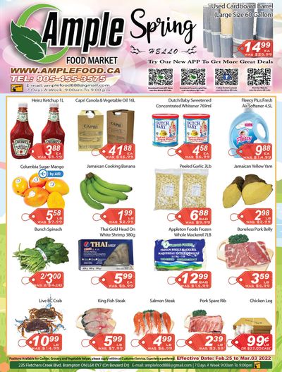 Ample Food Market (Brampton) Flyer February 25 to March 3