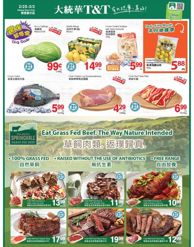 T&T Supermarket (Ottawa) Flyer February 25 to March 3