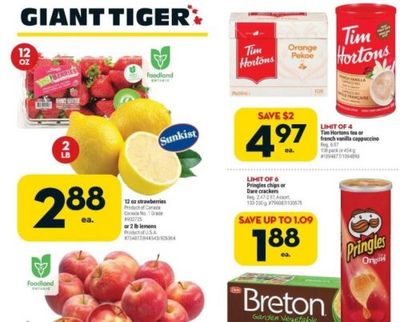Giant Tiger Canada Flyer Deals March 9th – 15th