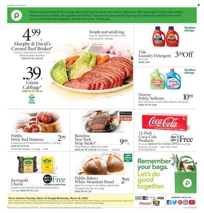 Publix (AL, FL, GA, NC, SC, TN) Weekly Ad Flyer March 10 to March 17