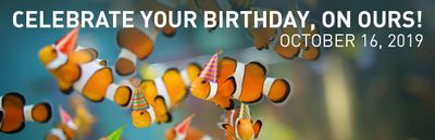 Ripley’s Aquarium of Canada 50% Off October Birthdays + Sensory Friendly Day