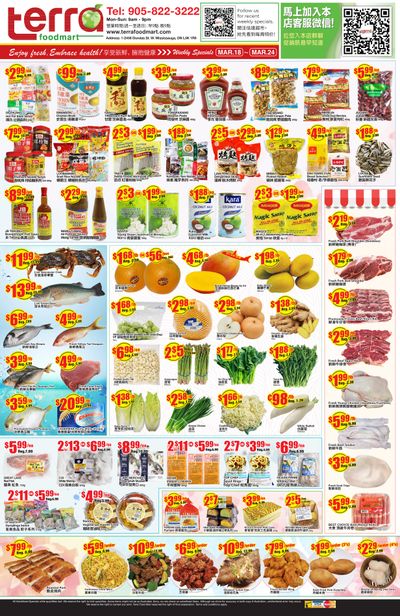 Terra Foodmart Flyer March 18 to 24