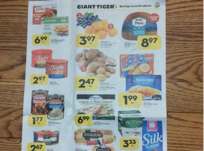 Giant Tiger Flyer Deals March 23rd – 29th
