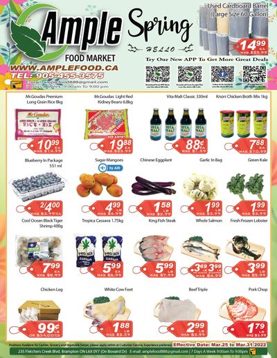 Ample Food Market (Brampton) Flyer March 25 to 31