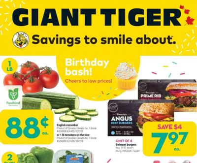 Giant Tiger Canada Flyer Deals April 20th – 26th