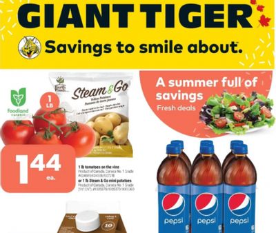 Giant Tiger Canada Flyer Deals May 11th – 17th