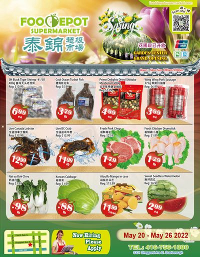Food Depot Supermarket Flyer May 20 to 26