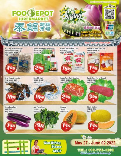 Food Depot Supermarket Flyer May 27 to June 2