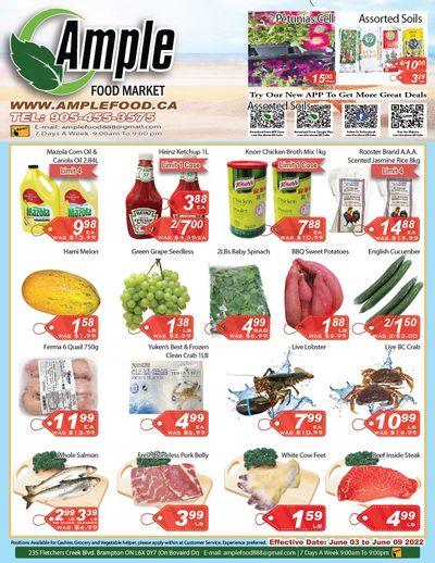 Ample Food Market (Brampton) Flyer June 3 to 9