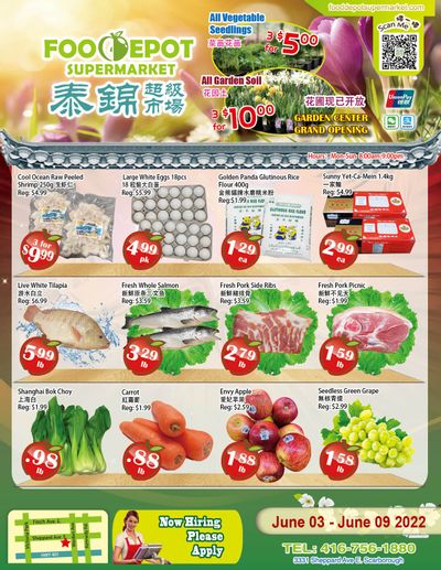 Food Depot Supermarket Flyer June 3 to 9