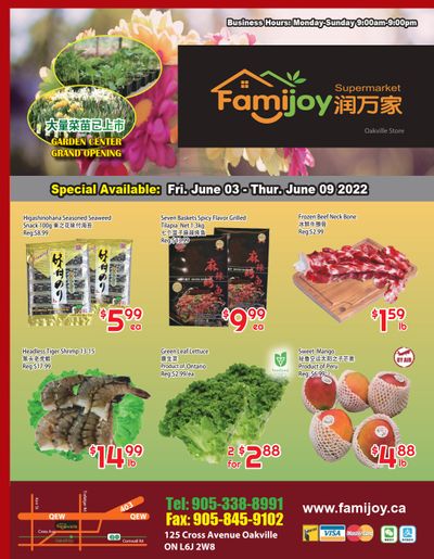 Famijoy Supermarket Flyer June 3 to 9
