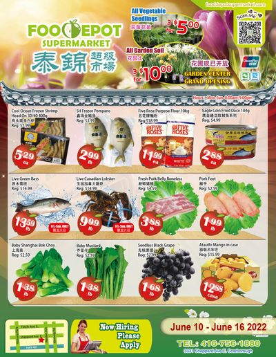 Food Depot Supermarket Flyer June 10 to 16