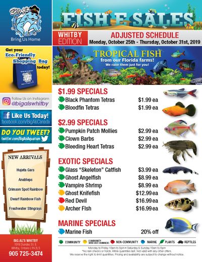 Big Al's (Whitby) Weekly Specials October 28 to 31
