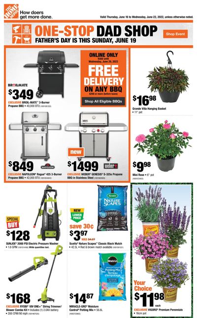 Home Depot (ON) Flyer June 16 to 22
