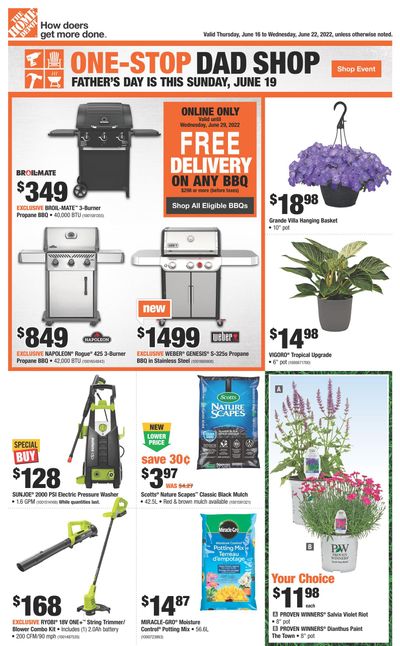 Home Depot (BC) Flyer June 16 to 22