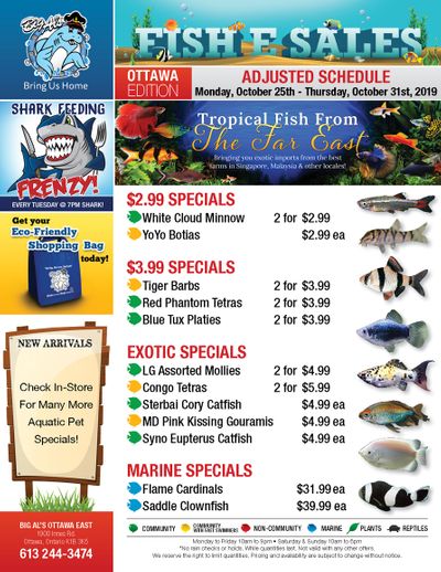 Big Al's (Ottawa East) Weekly Specials October 28 to 31