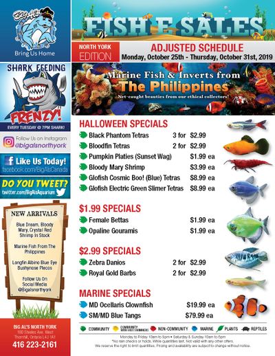 Big Al's (North York) Weekly Specials October 28 to 31