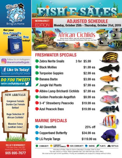Big Al's (Newmarket) Weekly Specials October 28 to 31 Big Al's (Newmarket) Weekly Specials October 28 to 31