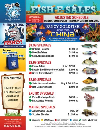Big Al's (Mississauga) Weekly Specials October 28 to 31