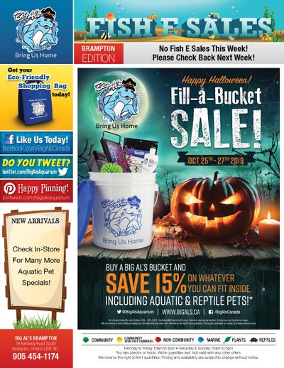 Big Al's (Brampton) Weekly Specials October 28 to 31