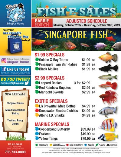 Big Al's (Barrie) Weekly Specials October 28 to 31