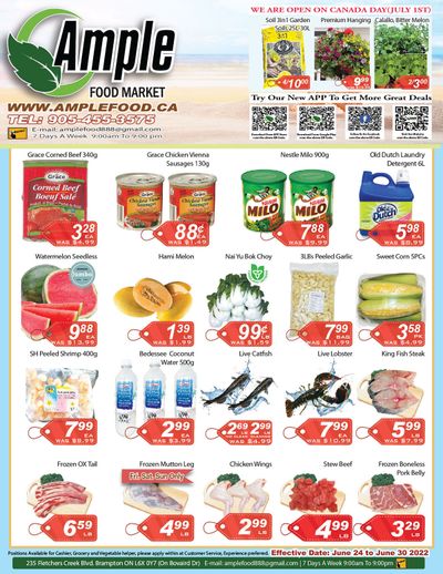 Ample Food Market (Brampton) Flyer June 24 to 30