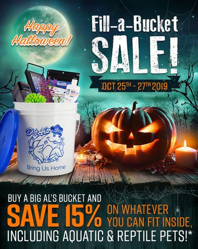 Big Al's Flyer October 25 to 27