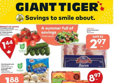 Giant Tiger Flyer Deals July 20th – 26th